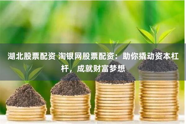 湖北股票配资 淘银网股票配资：助你撬动资本杠杆，成就财富梦想
